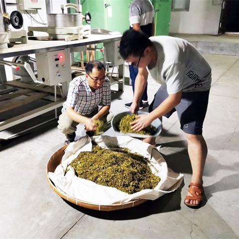 温州市同人养生馆的长尾关键词有哪些