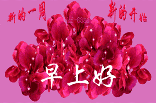 婴儿游泳哭闹
