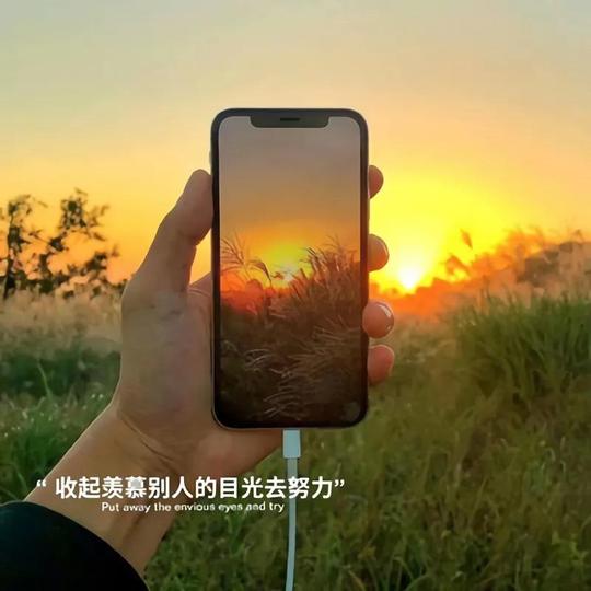 「1105期」抖音微信朋友圈热门背景图
