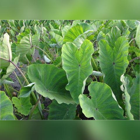 堵牙树脂多少钱哈尔滨市