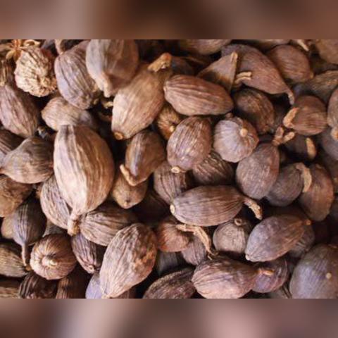 福建什么时候最潮湿