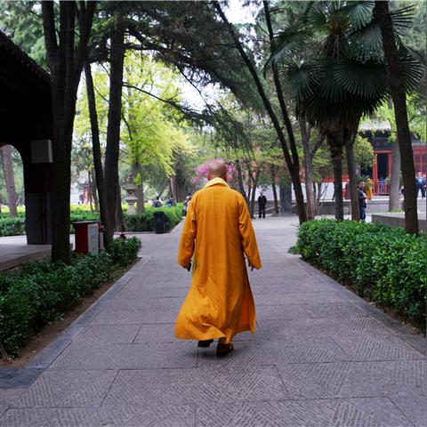 白马是河南哪个城市