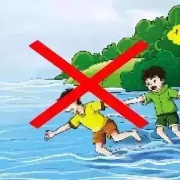 保定市猪下水一套多少钱