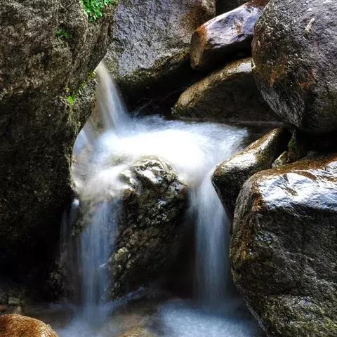 河南科技学院美的相关长尾关键词有哪些