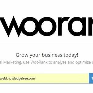 什么样的域名是seo