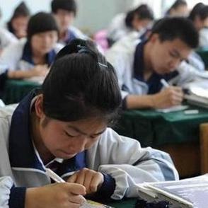 成都市在哪里查学籍号码