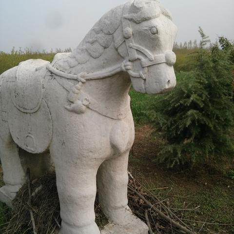 济南南郊宾馆正式员工待遇？