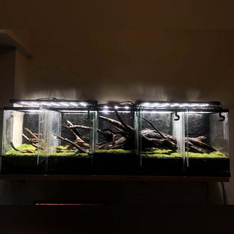 厦门植物园雨林摄影的相关长尾关键词有哪些