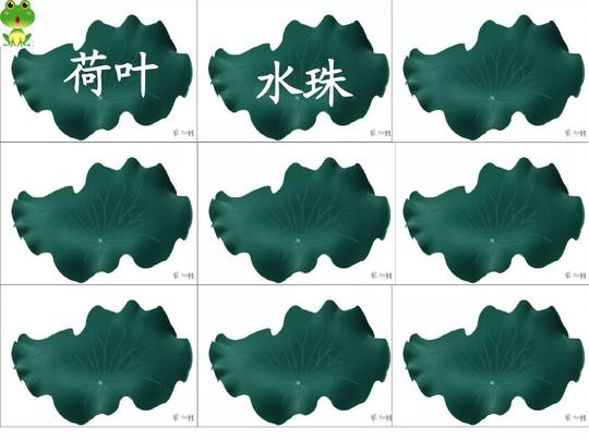 部编语文一年级下册13课《荷叶圆圆》知识点+图文解读+课堂测试