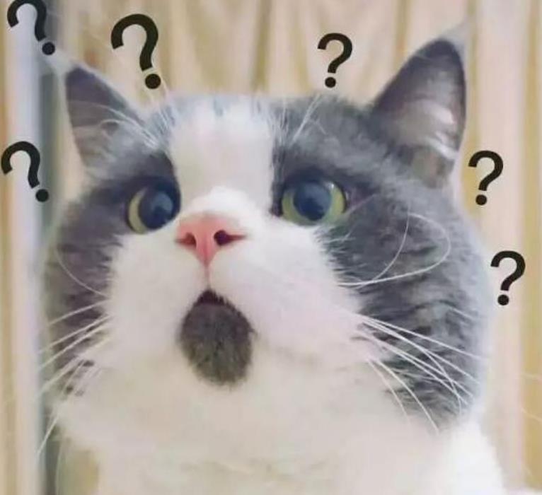 原神逃离岛计划怎么接(元神愚人众中的公主到底是谁)