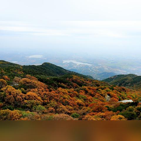 临沂市gdp各区县的长尾关键词有什么