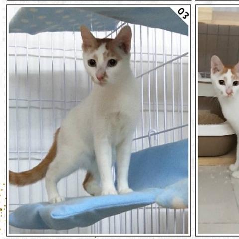 广州市坐标什么意思