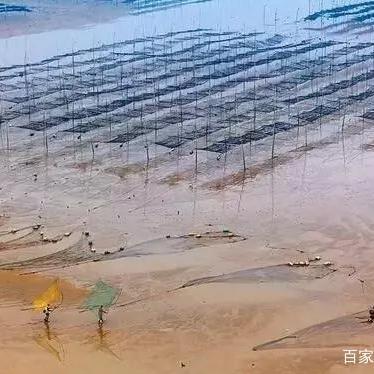 福建塑料丝网印刷设计的相关长尾关键词有哪些