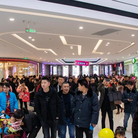 合肥开业花相关长尾关键词有哪些