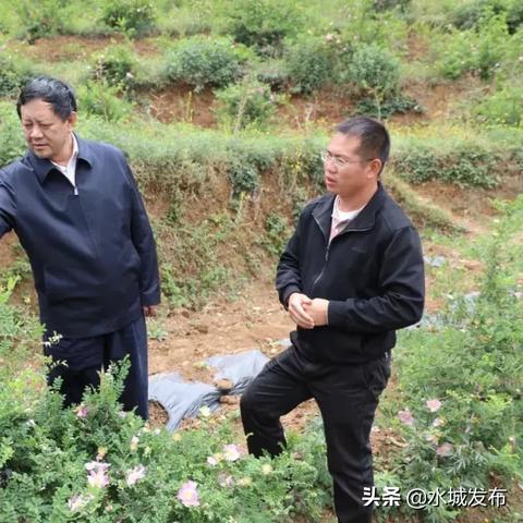 南宁盘龙居小区地址的相关长尾关键词有哪些