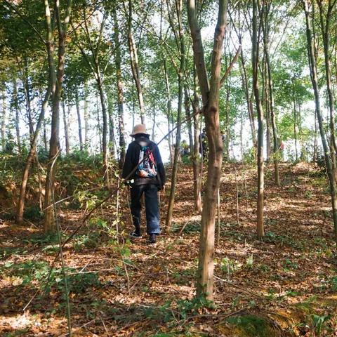 成都市内古寺在哪里呀