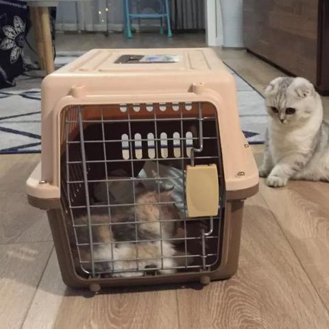 无锡市宠物公园在哪里啊