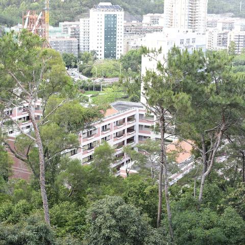 厦门市东渡路属什么街道