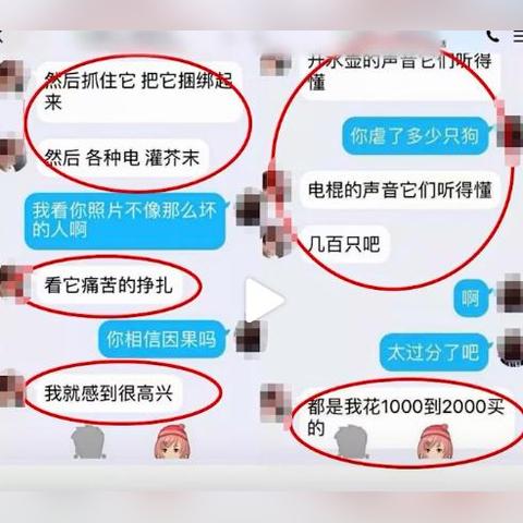 现在南通市狗市场在哪里