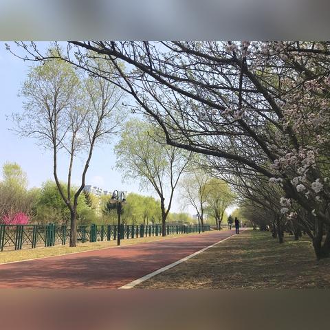 哈尔滨市有什么公园