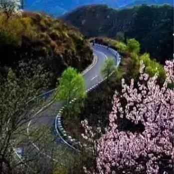 桂林桃花岩景区怎么去？