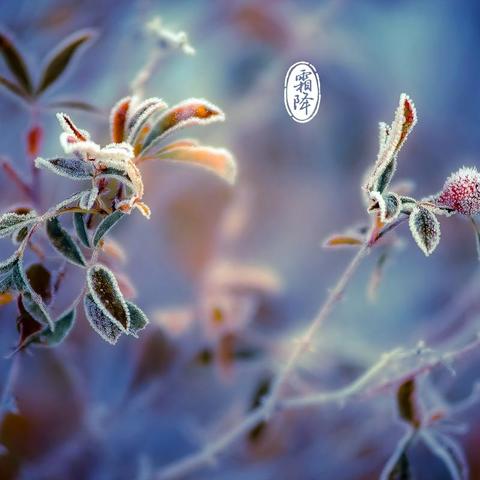 你的子女缘分藏在手掌哪处？