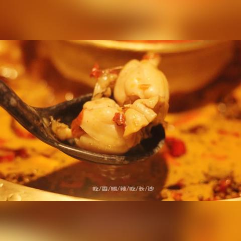 长沙365公交车时间相关长尾关键词有哪些