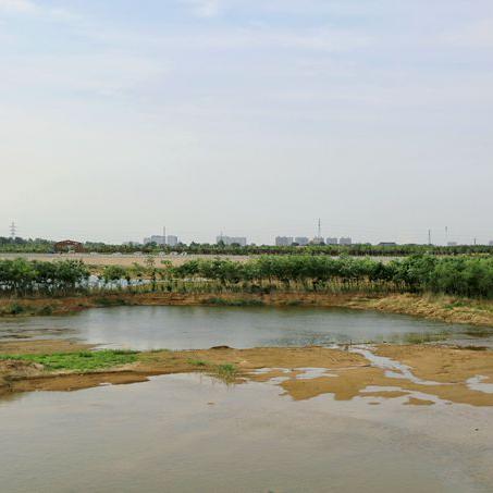 石家庄市天然湿地在哪里