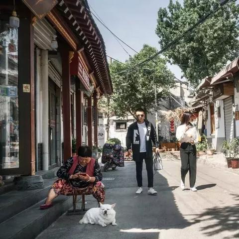 济南市涮甲鱼店在哪里
