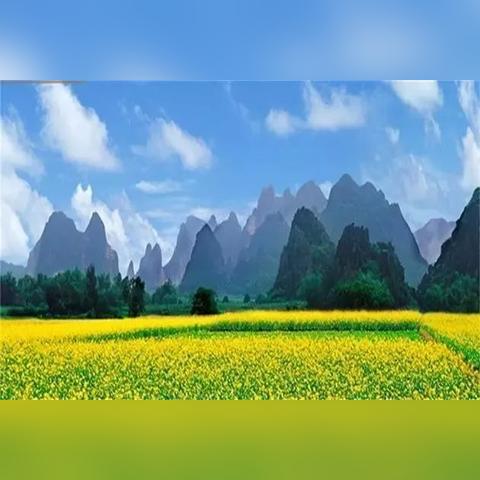 桂林花海相关长尾关键词有哪些