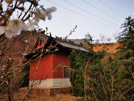洛阳孟津区白鹿院，李世民险被射杀，未来将建《盗墓笔记》剧本杀