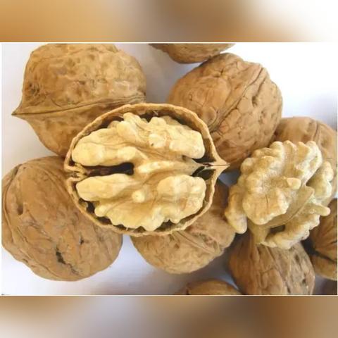 邯郸市批发糕点在哪里