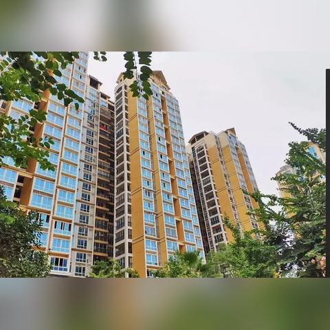 桂林市交契税需要什么