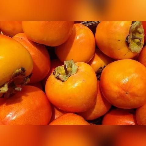 成都市区采摘基地有哪些