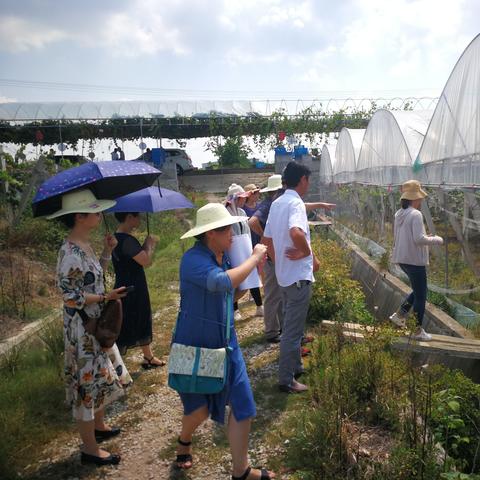 武汉市农业学校是大专吗？