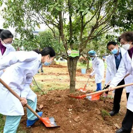 武汉种树土的相关长尾关键词有哪些