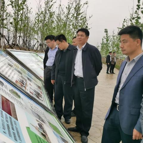 临沂市哪个省管