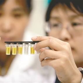 沈阳哪个超市是最大的？