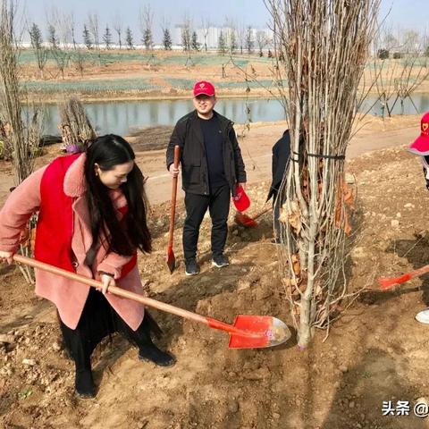 亳州城市空气污染怎么办