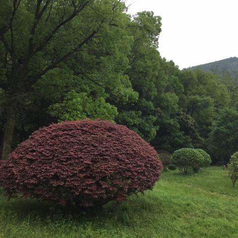 桂林带院子的相关长尾关键词有哪些