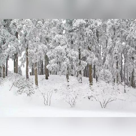 成都市周边哪里有雪