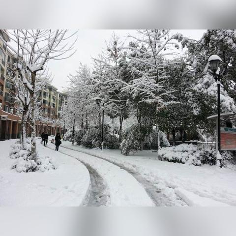 0几年合肥下得最大的雪？