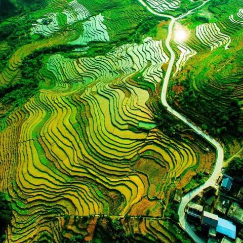 河池至桂林相关长尾关键词有哪些