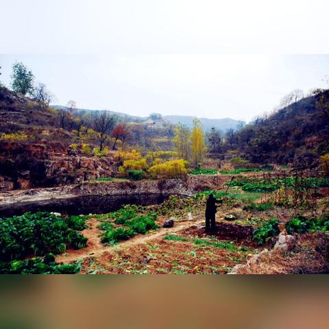 河南早餐5元吃什么好呢