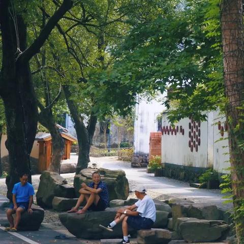 杭州的空气质量怎么样