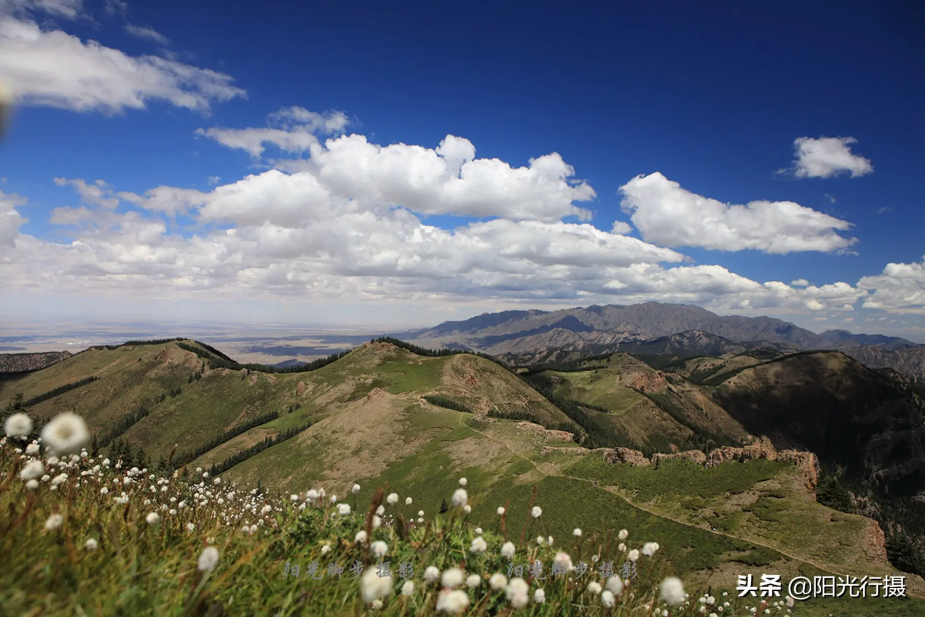 伪原创可以标原创么 公众号伪原创能标原创吗