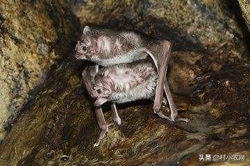 不受蚊虫侵扰