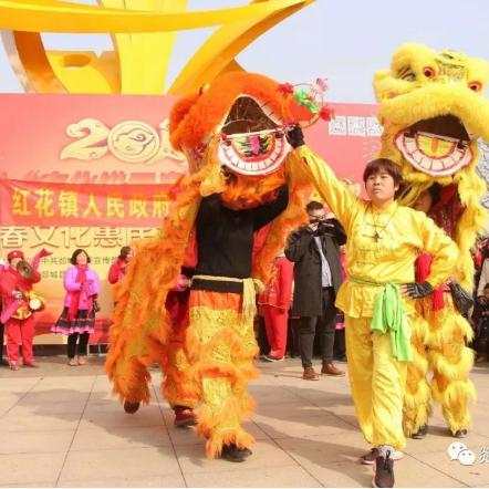 临沂市哪个地方批发棉花