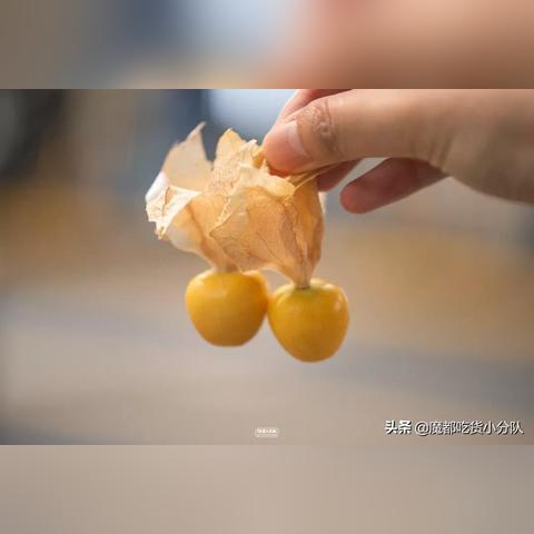 柿子酱的做法大全的长尾关键词是什么