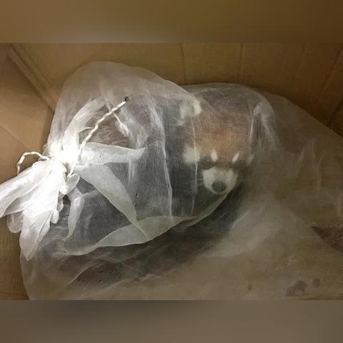 [苏州当老师要求]长尾关键词有什么